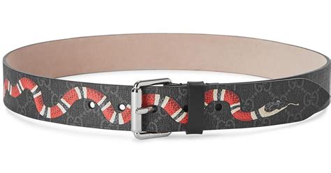 gucci supreme belt snake|gucci snake belt men's.